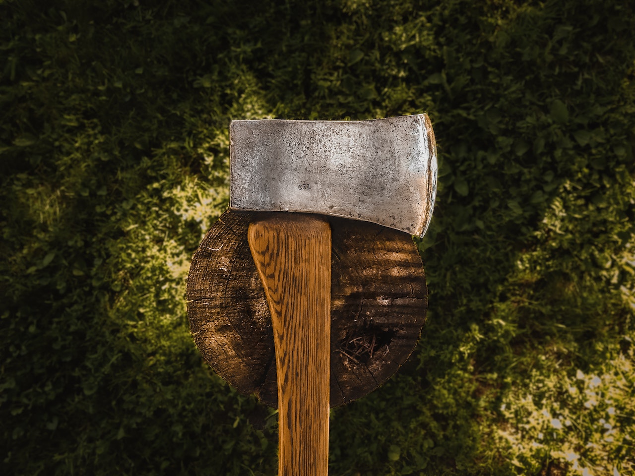 Do It Yourself Sharpening: Axes & Wood-Splitting Tools - Work